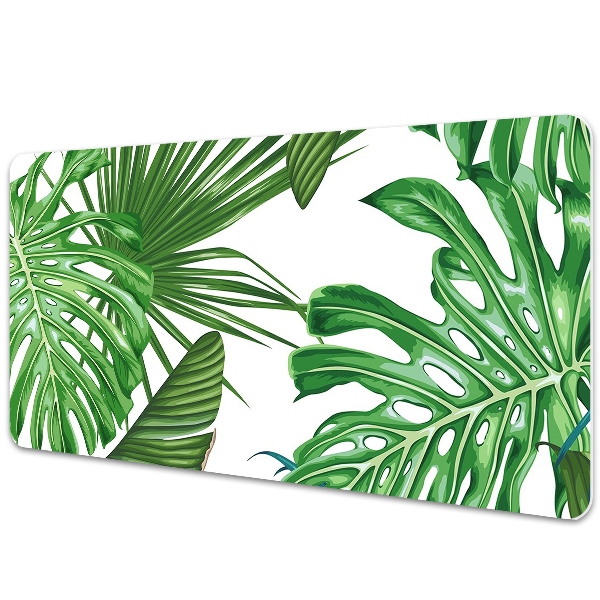 Patiesalas ant stalo Monstera