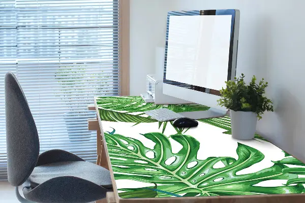 Patiesalas ant stalo Monstera