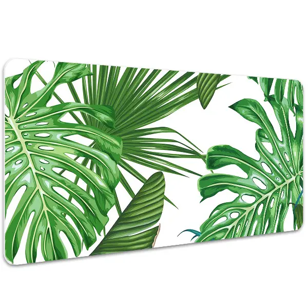 Patiesalas ant stalo Monstera