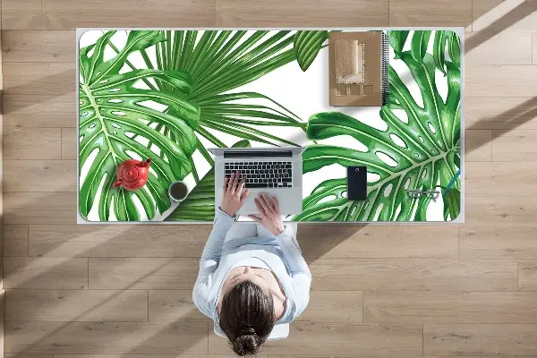 Patiesalas ant stalo Monstera