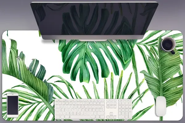 Patiesalas ant darbo stalo Palmė ir Monstera
