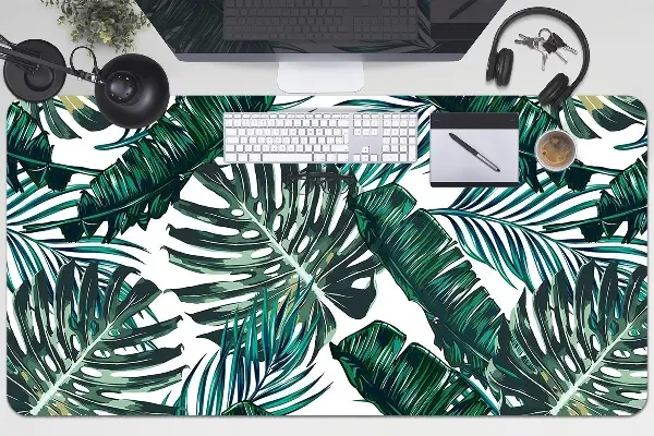 Patiesalas ant stalo Monstera