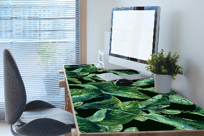 Darbo stalo patiesalas Tropiniai lapai