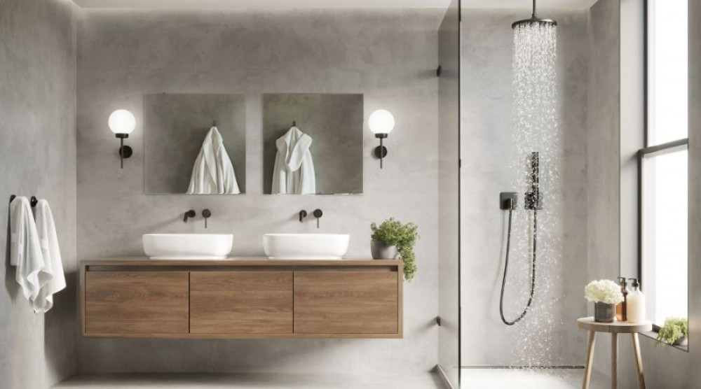 pigus vonios remontas