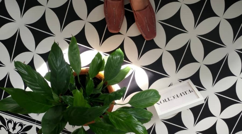 Maroko dobilų kilimas