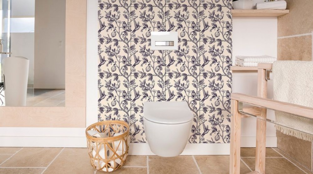 pigus vonios remontas